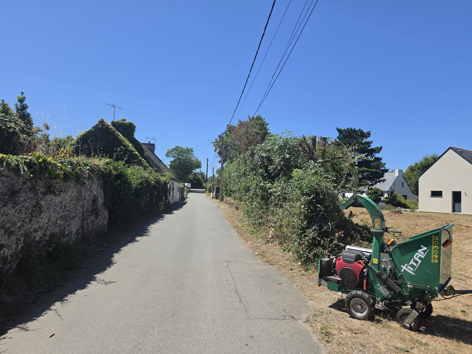 Chantier d'élagage MarioÉlag près de Gestel